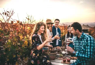 Dans le vignoble © StefaNikolic