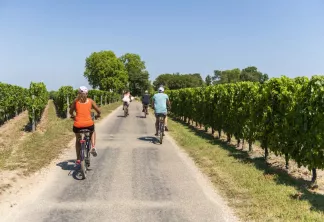 À-vélo-à-Saint-Émilion©Vincent-Bengold