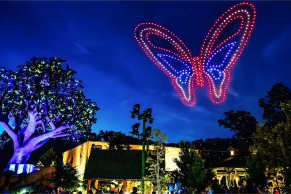 Spectacle de drones Bordeaux Fête le Vin